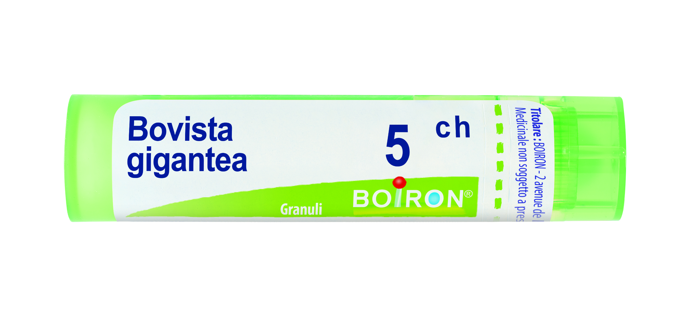 BOVISTA GIGANTEA*5CH 80GR 4G - Antica Farmacia Ferrari