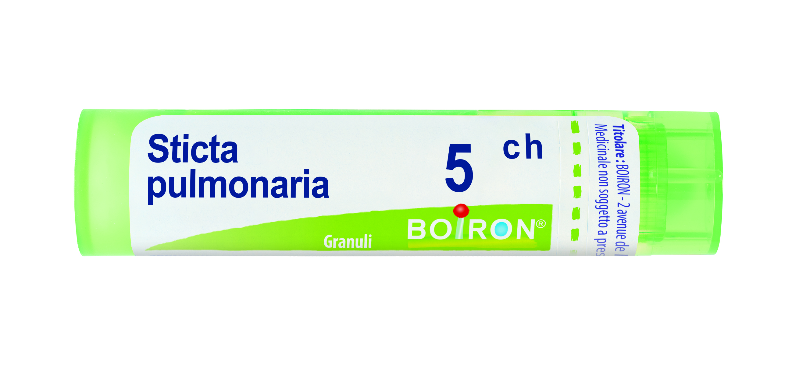 STICTA PULMONARIA*5CH 80GR 4G - Antica Farmacia Ferrari