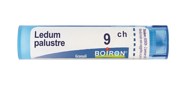 LEDUM PALUSTRE 9 CH GRANULI - Antica Farmacia Ferrari