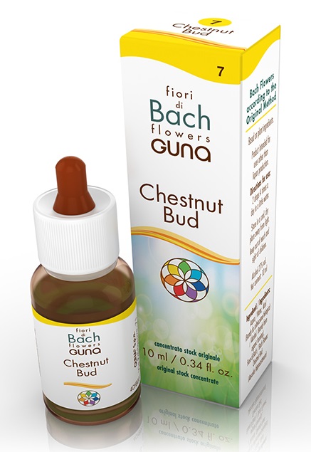 CHESTNUT BUD GOCCE 10 ML - Antica Farmacia Ferrari