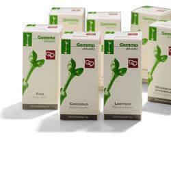 CISTO MACERATO GLICERICO 200 ML - Antica Farmacia Ferrari