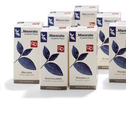 SPIREA ULMARIA 50ML TM - Antica Farmacia Ferrari