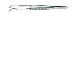 PINZA MEDICAZIONE DENTARIA - Antica Farmacia Ferrari