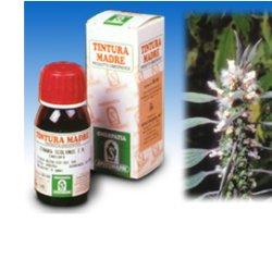 CARDIACA 16 50ML TM - Antica Farmacia Ferrari