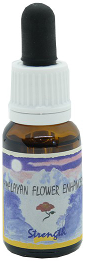 STRENGTH ESSENZA 15 ML 1 PEZZO - Antica Farmacia Ferrari