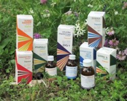 RAEMIL A1 LAVANDA COMPOSTO 100 ML - Antica Farmacia Ferrari