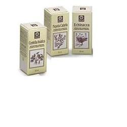 ECHINACEA ESTRATTO ANALCOLICO 50 ML ARTICOLO 813 - Antica Farmacia Ferrari