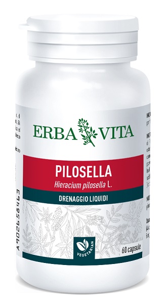 PILOSELLA 60 CAPSULE 400 MG - Antica Farmacia Ferrari