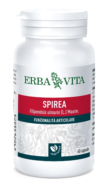 SPIREA ULMARIA 60 CAPSULE 400 MG - Antica Farmacia Ferrari