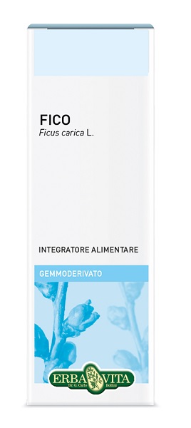 GEMMODERIVATO FICO 50 ML - Antica Farmacia Ferrari