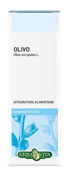 GEMMODERIVATO OLIVO 50 ML - Antica Farmacia Ferrari