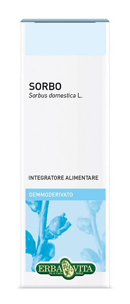 GEMMODERIVATO SORBO 50 ML - Antica Farmacia Ferrari