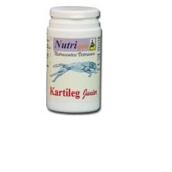 KARTILEG J 30TAV - Antica Farmacia Ferrari