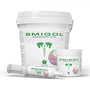 SMIGOL PASTA 1 SIRINGA 100 G - Antica Farmacia Ferrari