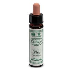 AINSWORTHS PINE 10ML - Antica Farmacia Ferrari