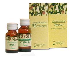 ROSMARINO OLIO ESSENZIALE 10 ML - Antica Farmacia Ferrari