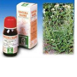 ACHILLEA 51 50ML TM - Antica Farmacia Ferrari