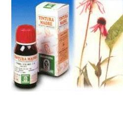 ECHINACEA 59 50ML TM - Antica Farmacia Ferrari