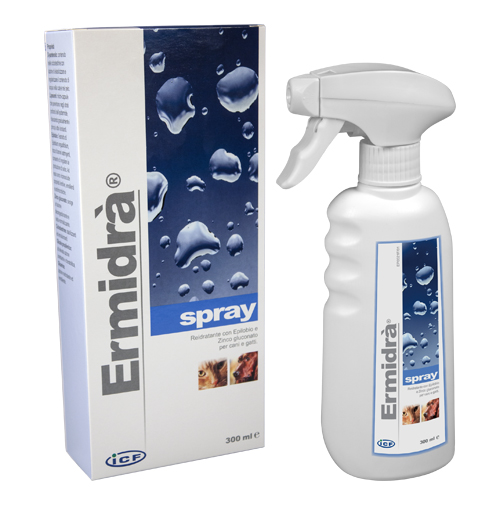 ERMIDRA' SPRAY 300 ML - Antica Farmacia Ferrari