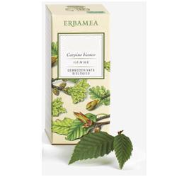 AESCULUS HIPPOCASTANUM GEMME GEMMODERIVATO 50 ML - Antica Farmacia Ferrari