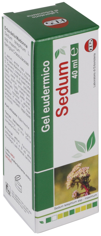 SEDUM GEL EUDERMICO 40 ML - Antica Farmacia Ferrari
