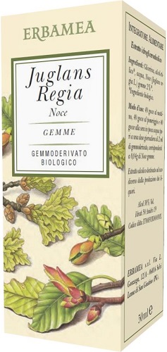 JUGLANS REGIA NOCE BIO 50 ML - Antica Farmacia Ferrari