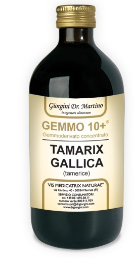 GEMMO 10+ GEMMODERIVATO CONCENTRATO LIQUIDO ANALCOLICO TAMARIX GALLICA TAMERICE 500 ML - Antica Farmacia Ferrari