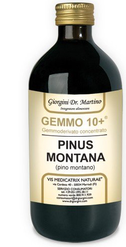 GEMMO 10+ GEMMODERIVATO CONCENTRATO LIQUIDO ANALCOLICO PINUS MONTANA PINO MONTANO 500 ML - Antica Farmacia Ferrari