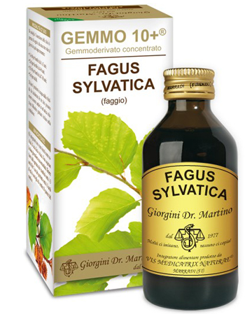 GEMMO 10+ FAGGIO 100 ML LIQUIDO ANALCOLICO - Antica Farmacia Ferrari