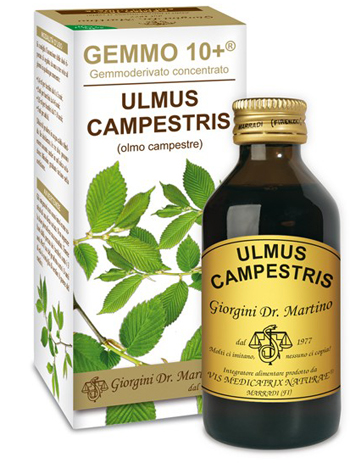 GEMMO 10+ OLMO CAMPESTRE 100 ML LIQUIDO ANALCOLICO - Antica Farmacia Ferrari