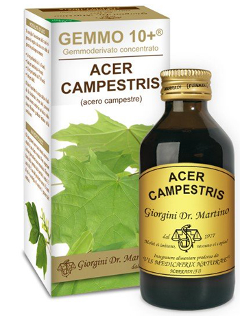 GEMMO 10+ ACERO CAMPESTRE 100 ML LIQUIDO ANALCOLICO - Antica Farmacia Ferrari