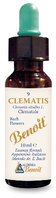 FIORI DI BACH BENOIT CLEMATIS 10 ML - Antica Farmacia Ferrari