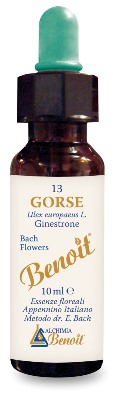 FIORI DI BACH BENOIT GORSE 10 ML - Antica Farmacia Ferrari