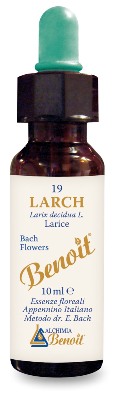 FIORI DI BACH BENOIT LARCH 10 ML - Antica Farmacia Ferrari