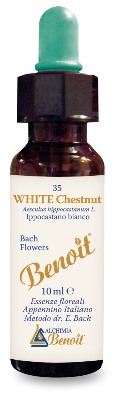 FIORI DI BACH BENOIT WHITE CHESTNUT 10 ML - Antica Farmacia Ferrari