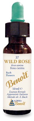 FIORI DI BACH BENOIT WILD ROSE 10 ML - Antica Farmacia Ferrari