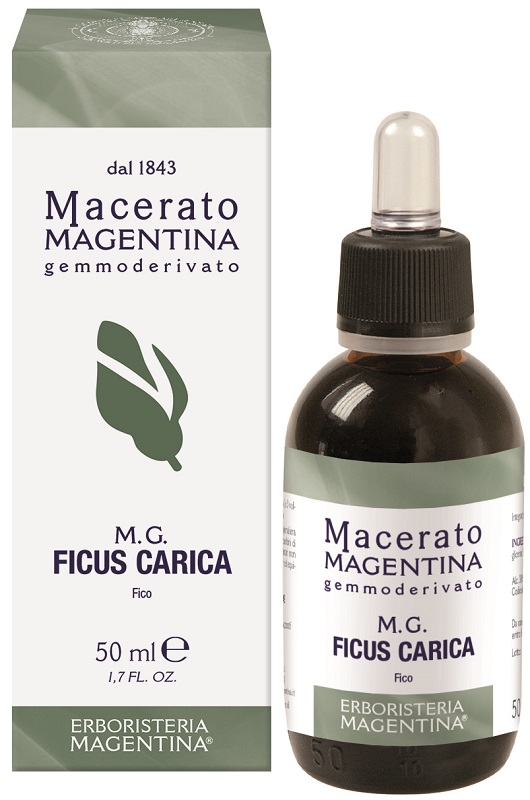 FICUS CARICA MACERATO MAGENTINA 50 ML - Antica Farmacia Ferrari