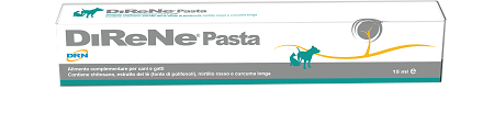 DIRENE PASTA 15 ML - Antica Farmacia Ferrari