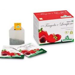 INFUSO FRAGOLA/LAMPONE 20 FILTRI - Antica Farmacia Ferrari