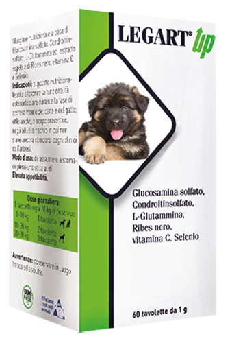 LEGART UP 60 COMPRESSE DA 1 G - Antica Farmacia Ferrari