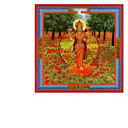 NEESHA-MA GOCCE 30 ML - Antica Farmacia Ferrari