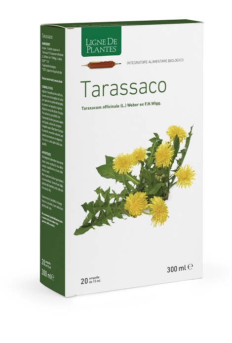 TARASSACO BIOLOGICO 20 AMPOLLE BEVIBILI DA 15 ML - Antica Farmacia Ferrari
