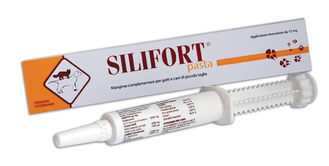 SILIFORT PASTA OS SIRINGA 30 G - Antica Farmacia Ferrari
