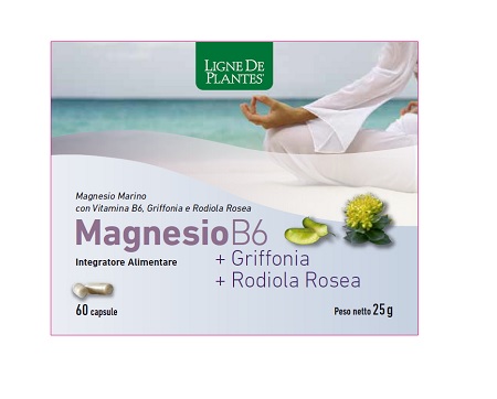 MAGNESIO B6 + GRIFFONIA + RODIOLA 60 CAPSULE - Antica Farmacia Ferrari