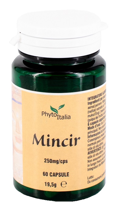 MINCEUR AYURVED 60 CAPSULE - Antica Farmacia Ferrari