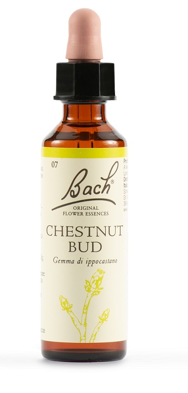 CHESTNUT BUD BACH ORIG 20 ML - Antica Farmacia Ferrari