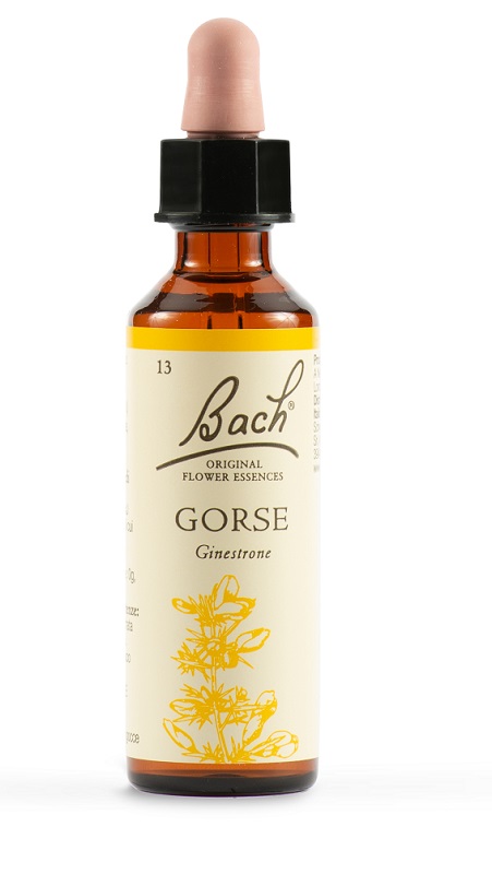 GORSE BACH ORIG 20 ML - Antica Farmacia Ferrari