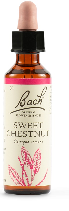 SWEET CHEST BACH ORIG 20 ML - Antica Farmacia Ferrari