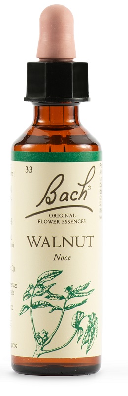 WALNUT BACH ORIG 20 ML - Antica Farmacia Ferrari