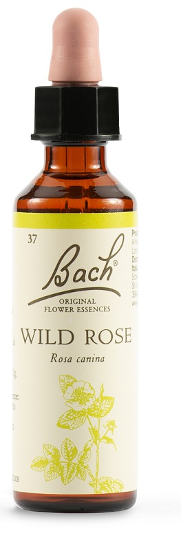 WILD ROSE BACH ORIG 20 ML - Antica Farmacia Ferrari